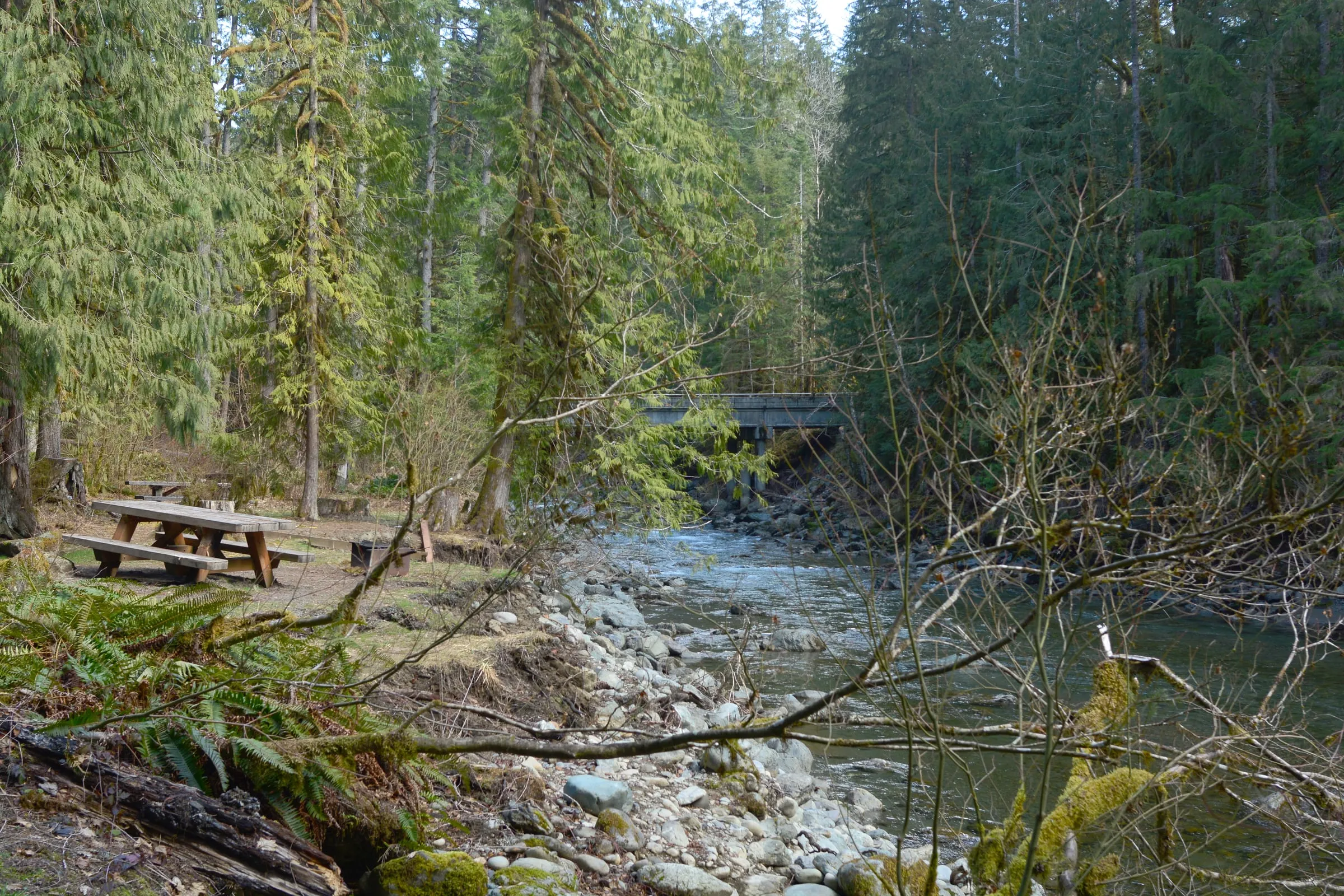 The North Fork Nooksack River at Douglas Fir Campground east of Glacier in late winter, with a snow-free valley floor