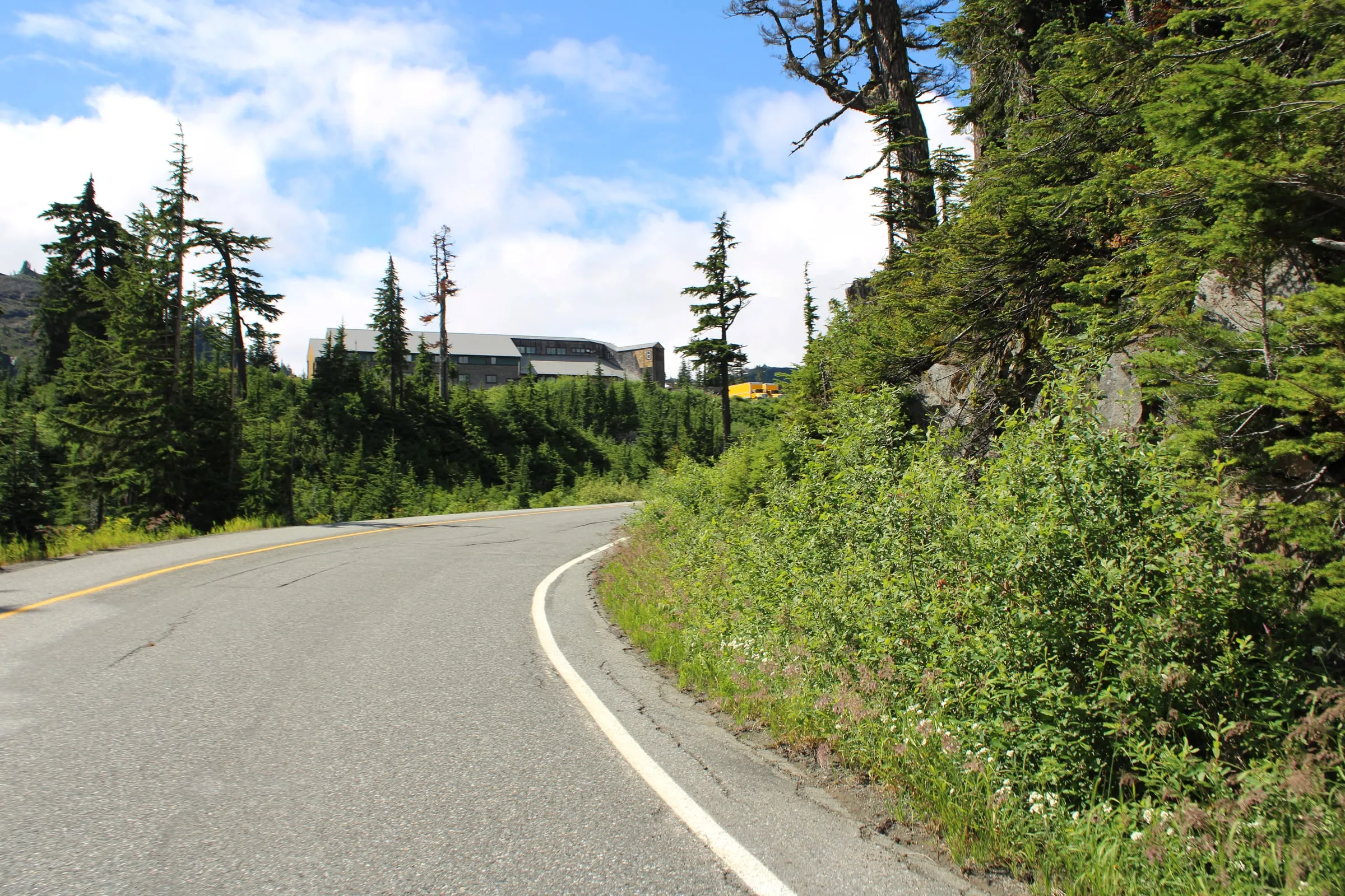 The Mt. Baker Highway curving past the ski area day lodge in summer, with the building visible above the road through subalpine trees